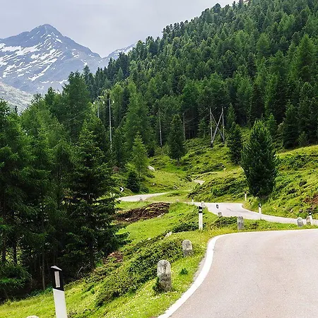 Paradise ليفينو