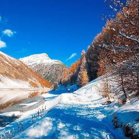 Paradise ليفينو